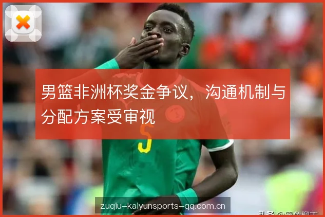 男篮非洲杯奖金争议，沟通机制与分配方案受审视